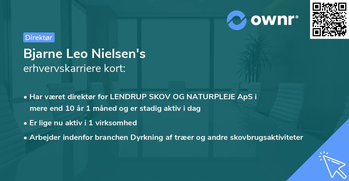 Bjarne Leo Nielsen's erhvervskarriere kort