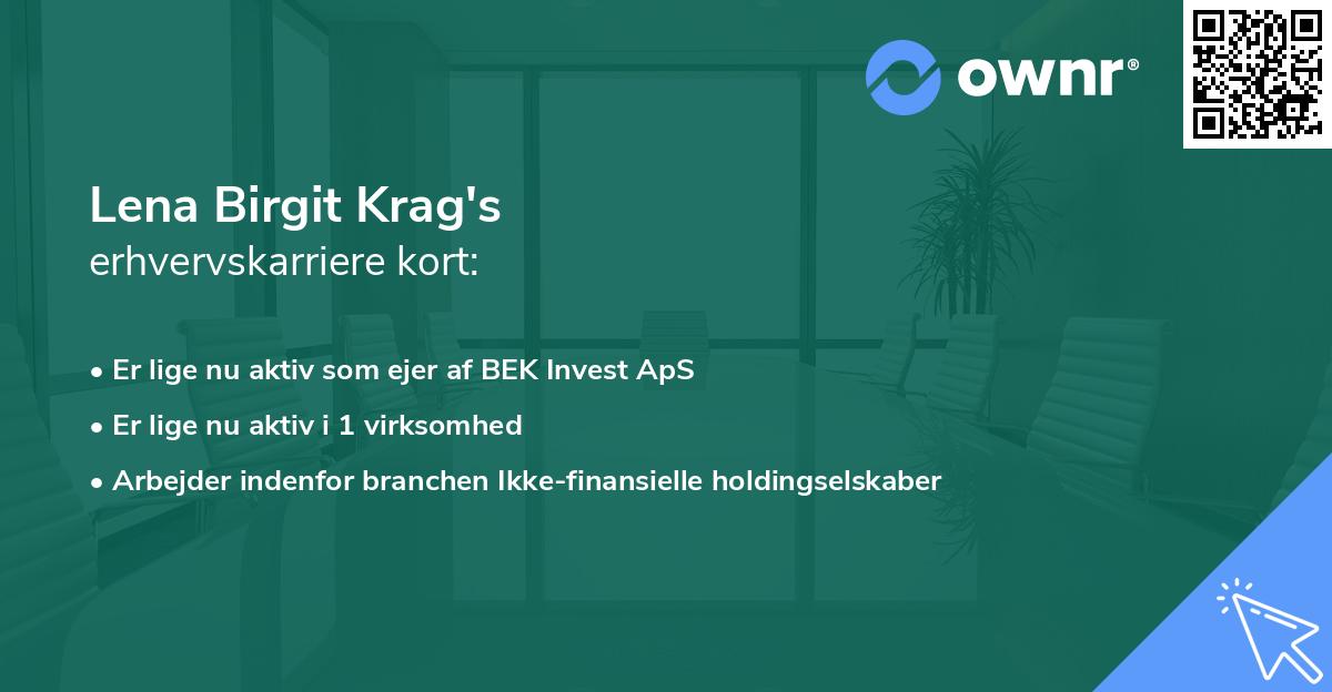 Lena Birgit Krag's erhvervskarriere kort