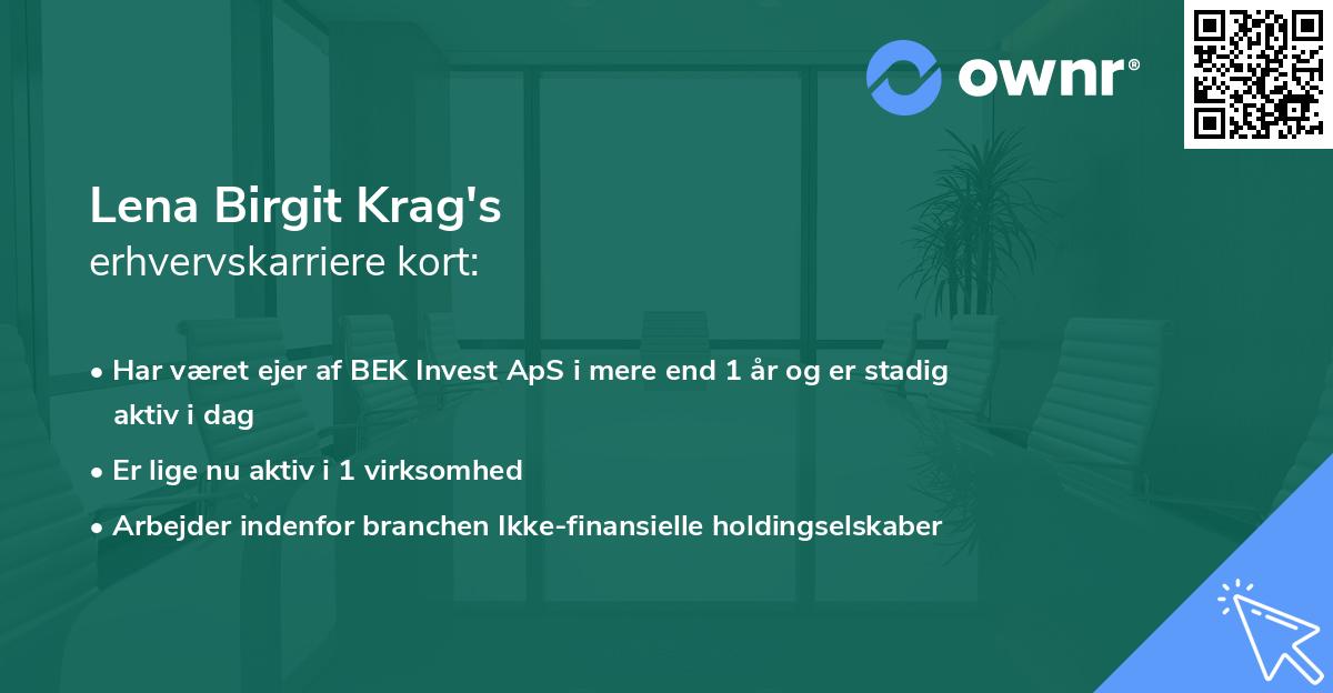 Lena Birgit Krag's erhvervskarriere kort