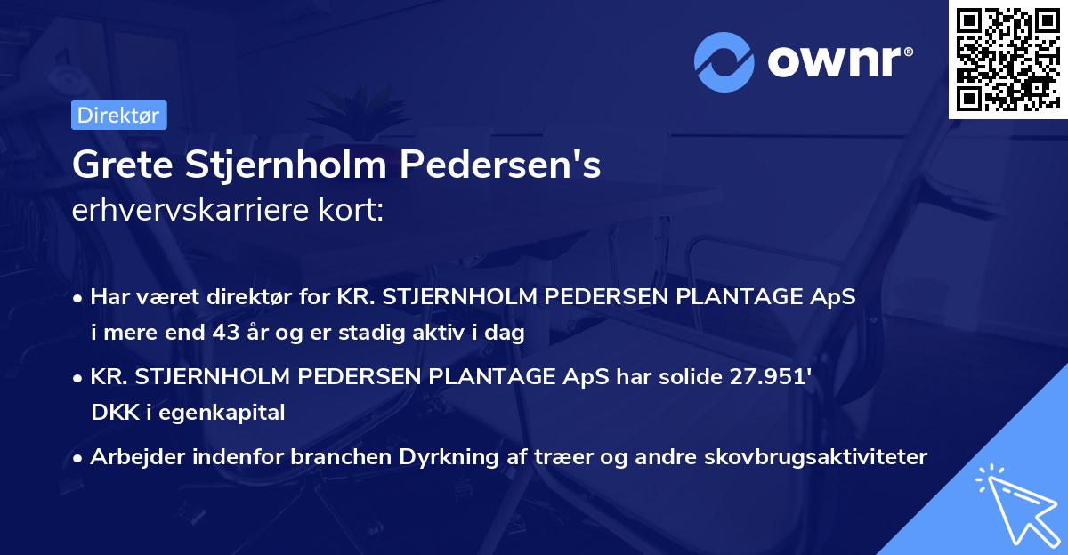 Grete Stjernholm Pedersen's erhvervskarriere kort