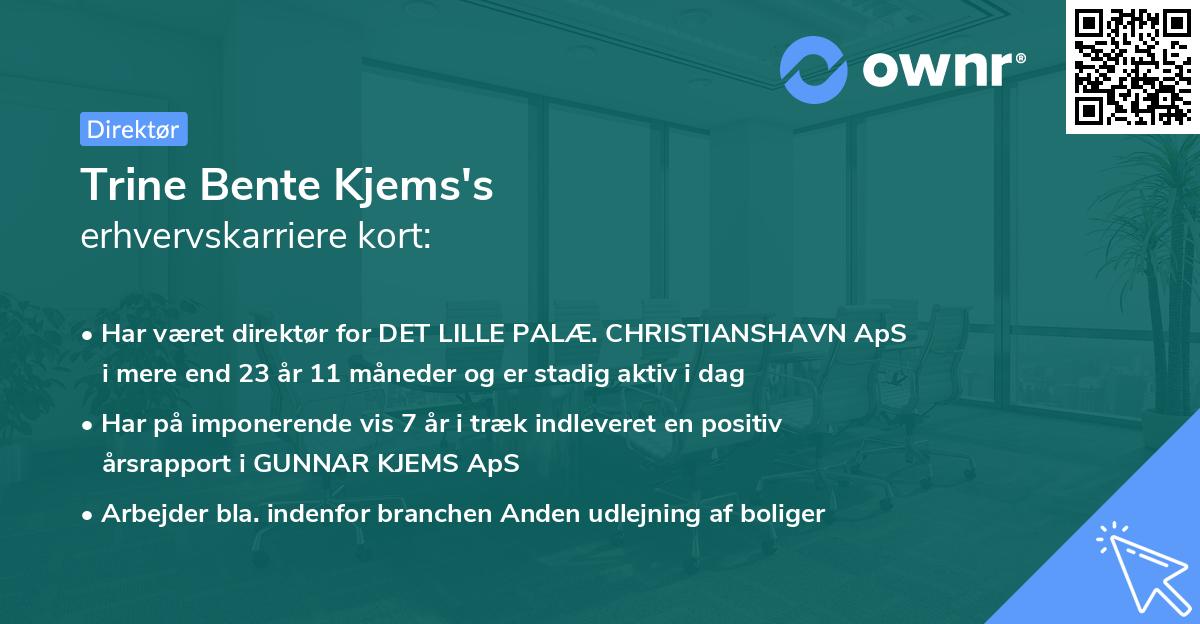 Trine Bente Kjems's erhvervskarriere kort