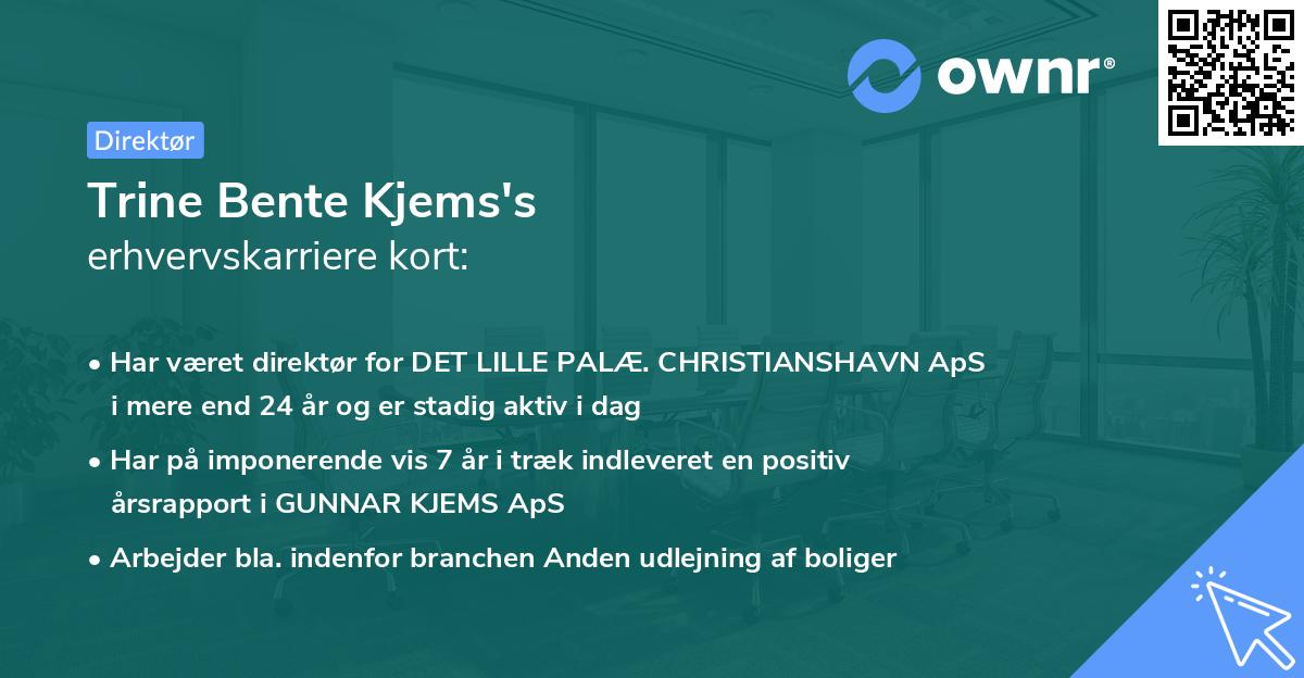 Trine Bente Kjems's erhvervskarriere kort