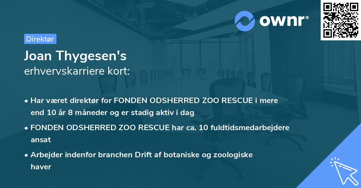 Joan Thygesen's erhvervskarriere kort