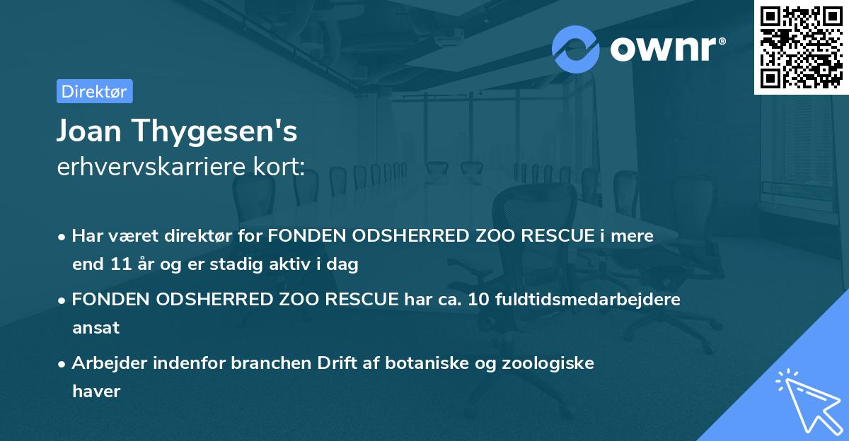 Joan Thygesen's erhvervskarriere kort