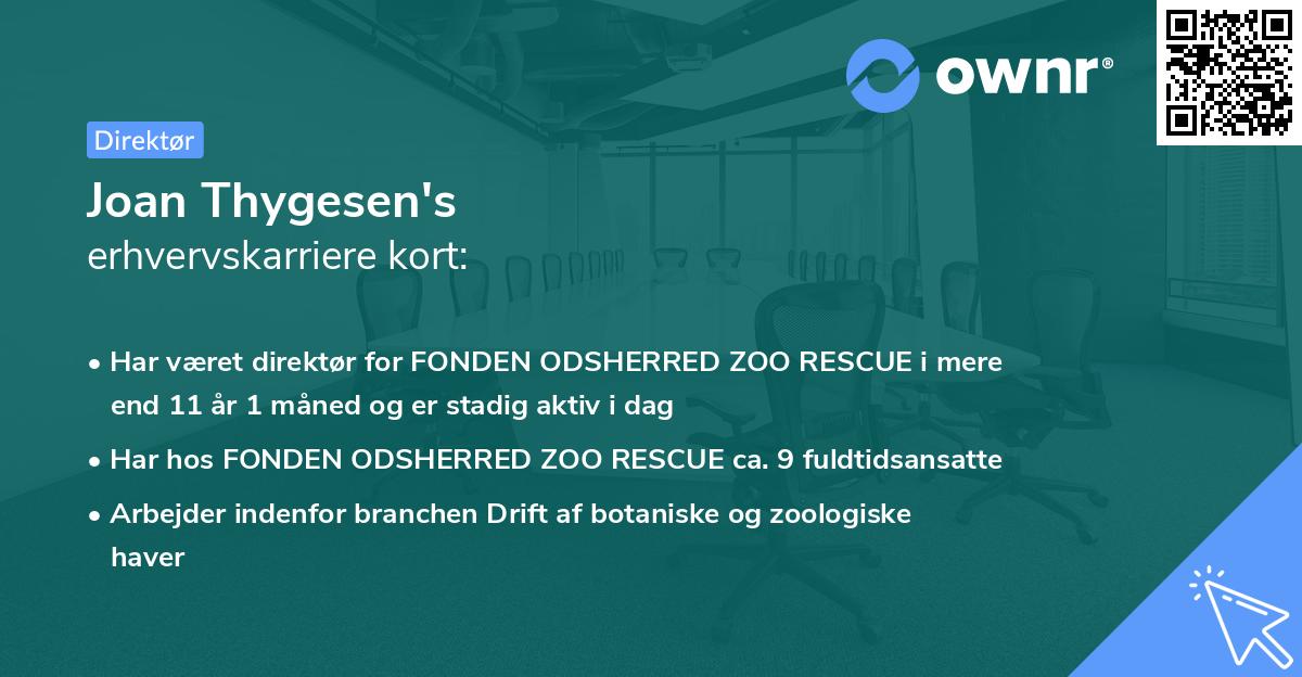 Joan Thygesen's erhvervskarriere kort