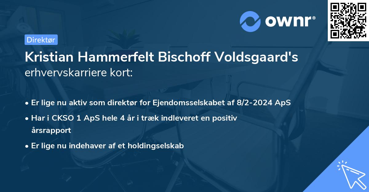 Kristian Hammerfelt Bischoff Voldsgaard's erhvervskarriere kort