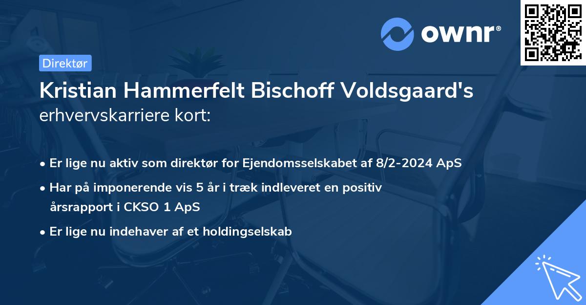 Kristian Hammerfelt Bischoff Voldsgaard's erhvervskarriere kort