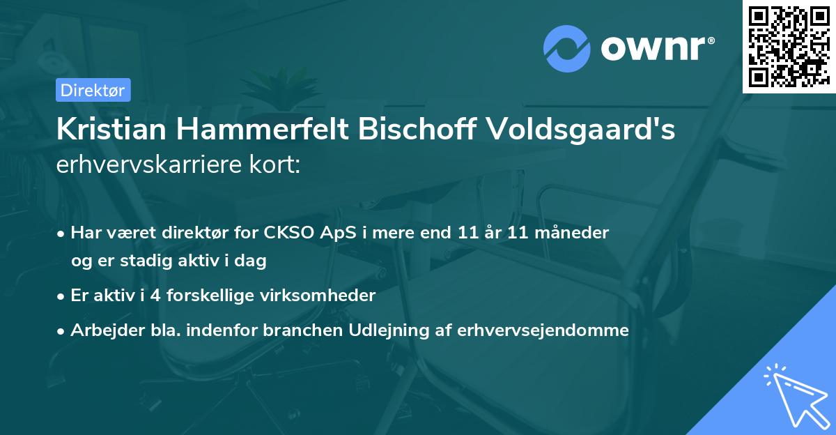 Kristian Hammerfelt Bischoff Voldsgaard's erhvervskarriere kort