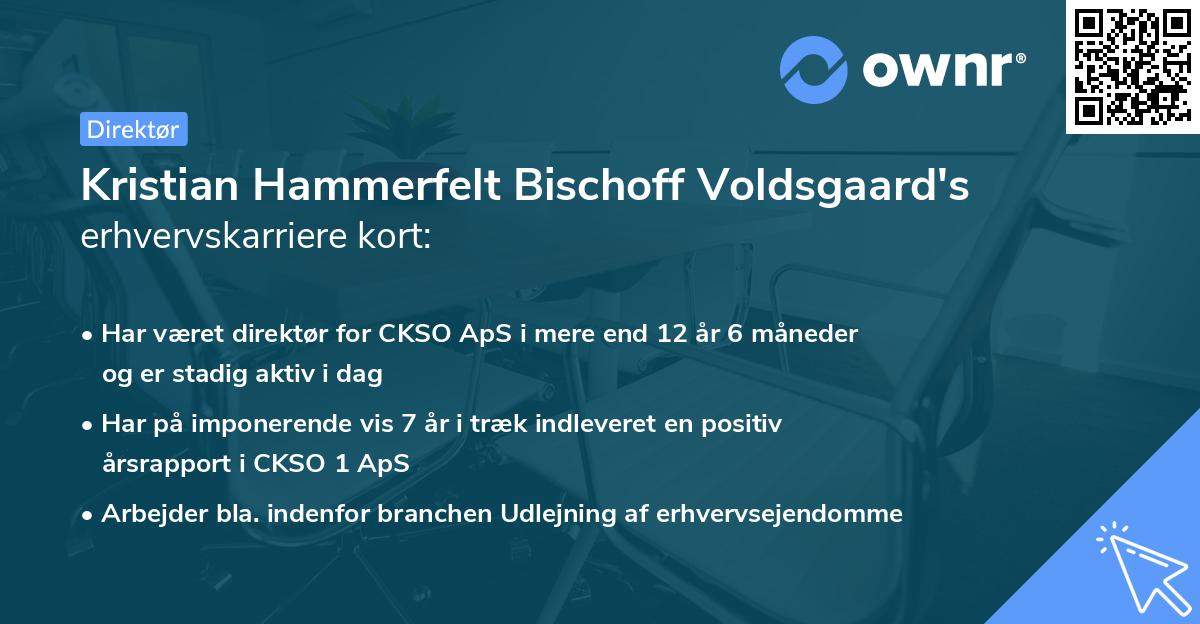 Kristian Hammerfelt Bischoff Voldsgaard's erhvervskarriere kort