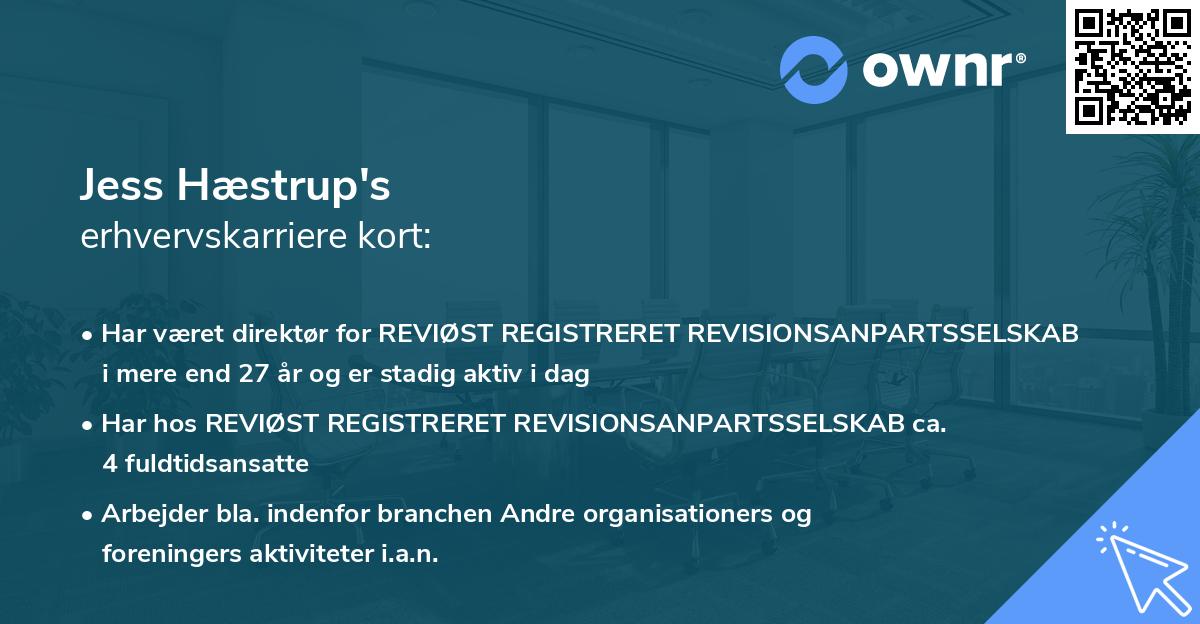Jess Hæstrup's erhvervskarriere kort