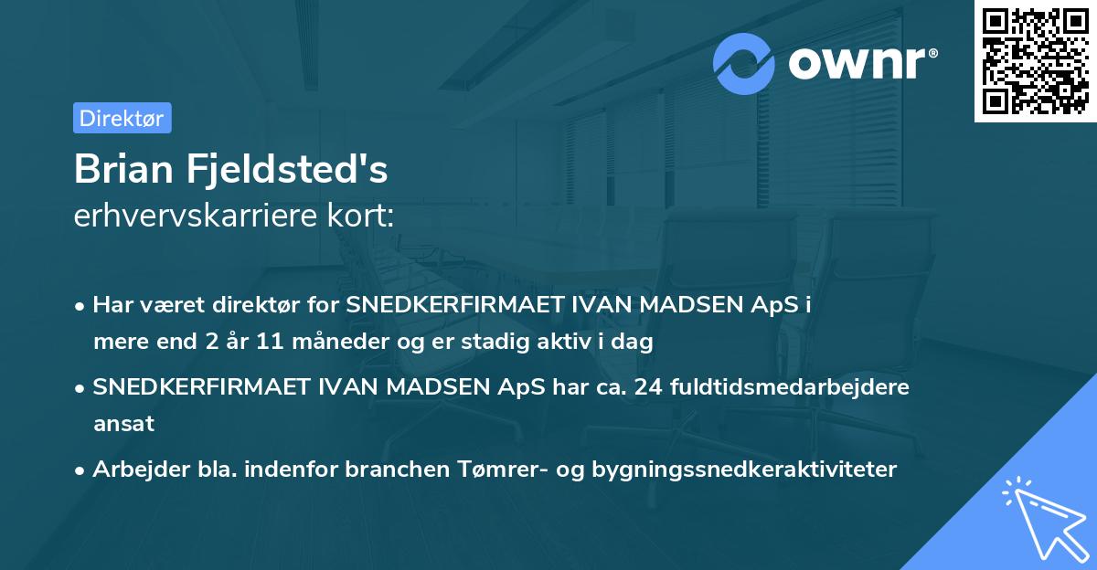 Brian Fjeldsted's erhvervskarriere kort