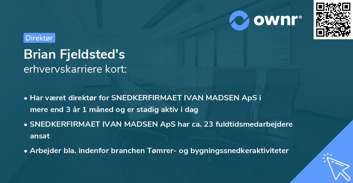 Brian Fjeldsted's erhvervskarriere kort