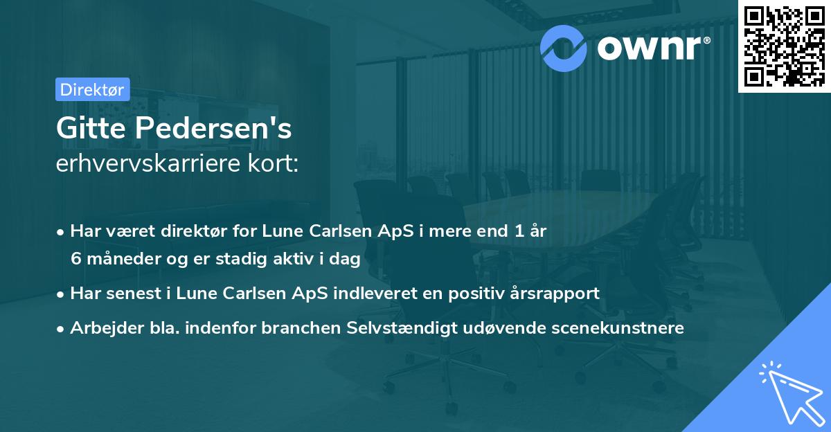 Gitte Pedersen's erhvervskarriere kort