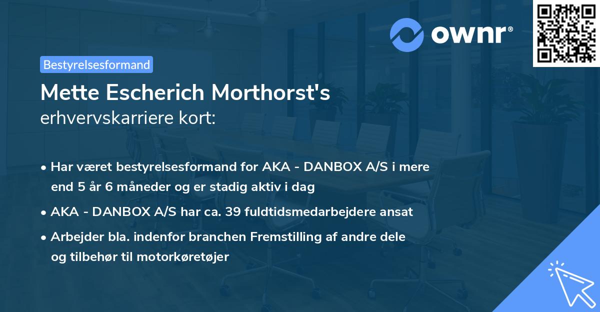 Mette Escherich Morthorst's erhvervskarriere kort
