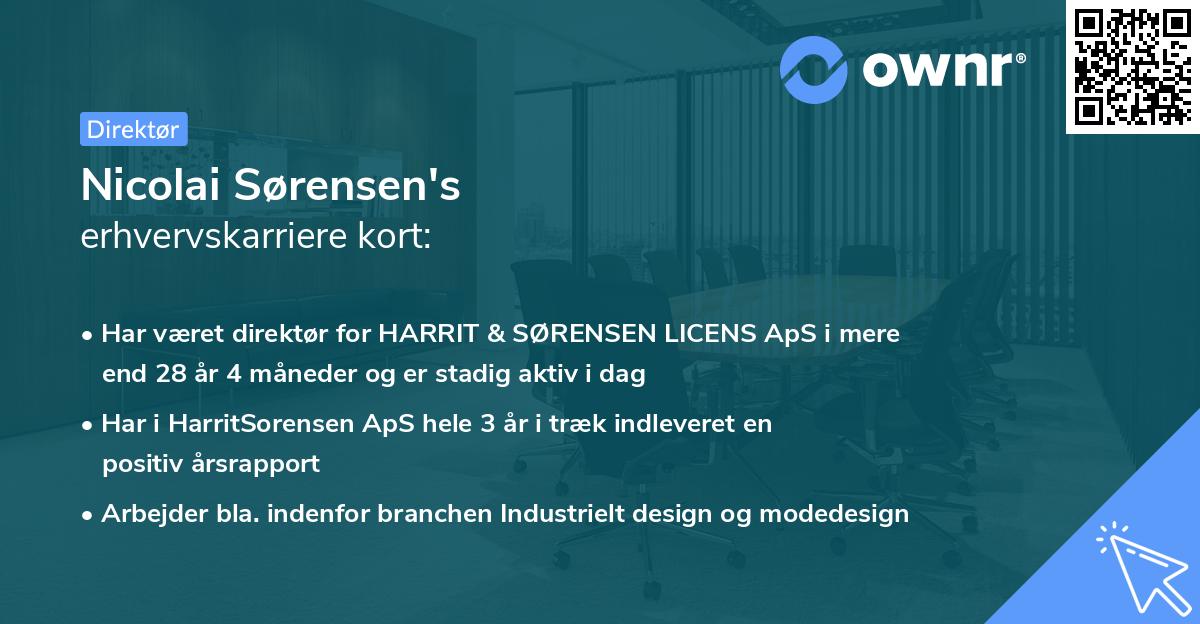 Nicolai Sørensen's erhvervskarriere kort