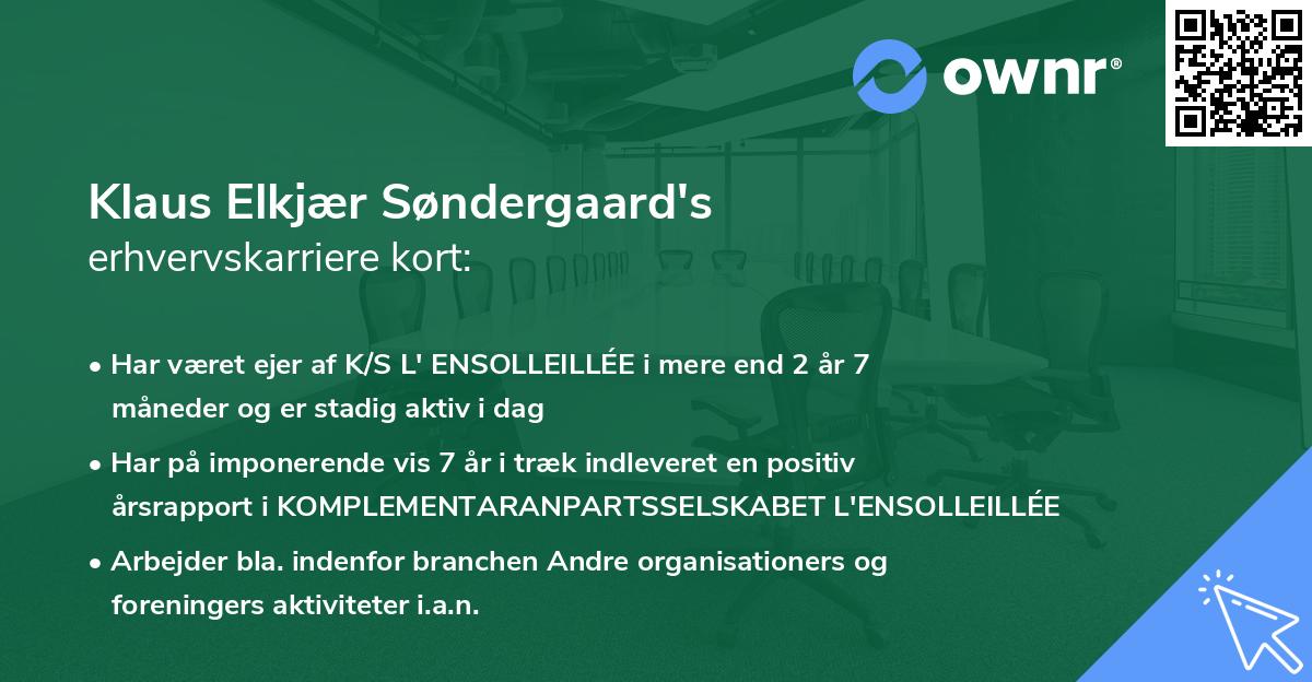 Klaus Elkjær Søndergaard's erhvervskarriere kort