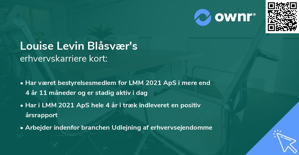 Louise Levin Blåsvær's erhvervskarriere kort