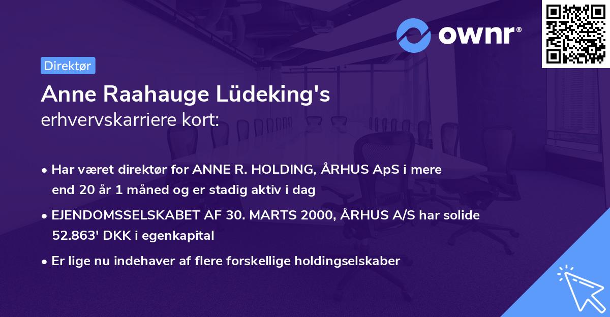 Anne Raahauge Lüdeking's erhvervskarriere kort