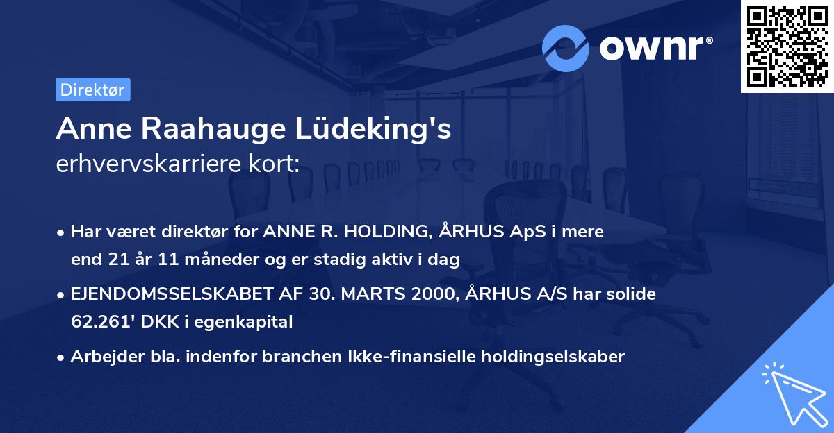 Anne Raahauge Lüdeking's erhvervskarriere kort