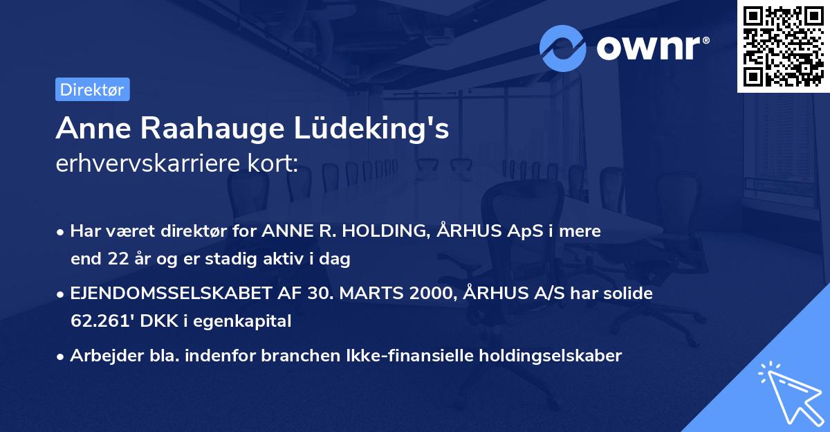 Anne Raahauge Lüdeking's erhvervskarriere kort