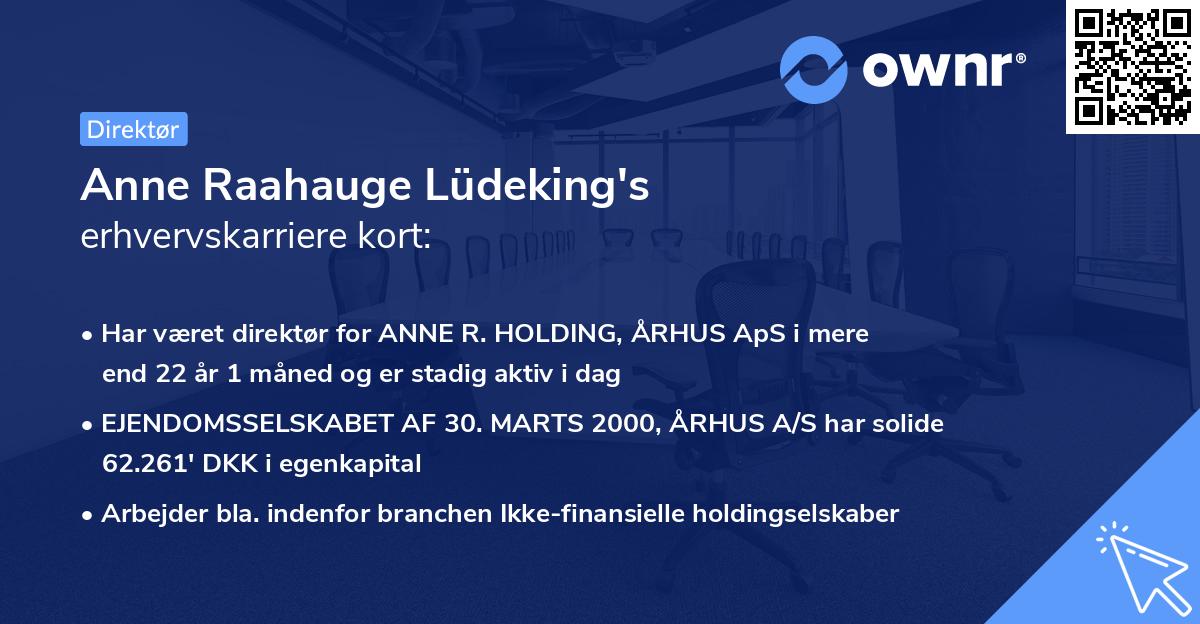 Anne Raahauge Lüdeking's erhvervskarriere kort