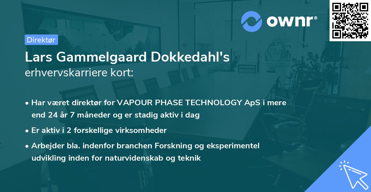 Lars Gammelgaard Dokkedahl's erhvervskarriere kort