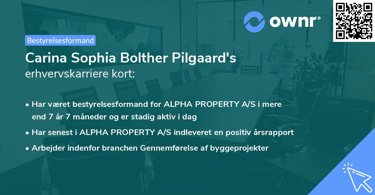 Carina Sophia Bolther Pilgaard's erhvervskarriere kort