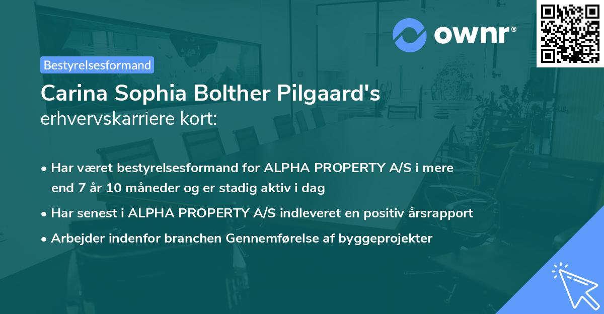 Carina Sophia Bolther Pilgaard's erhvervskarriere kort