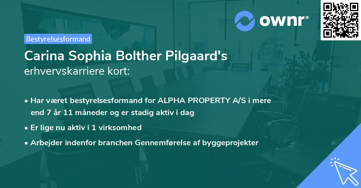 Carina Sophia Bolther Pilgaard's erhvervskarriere kort
