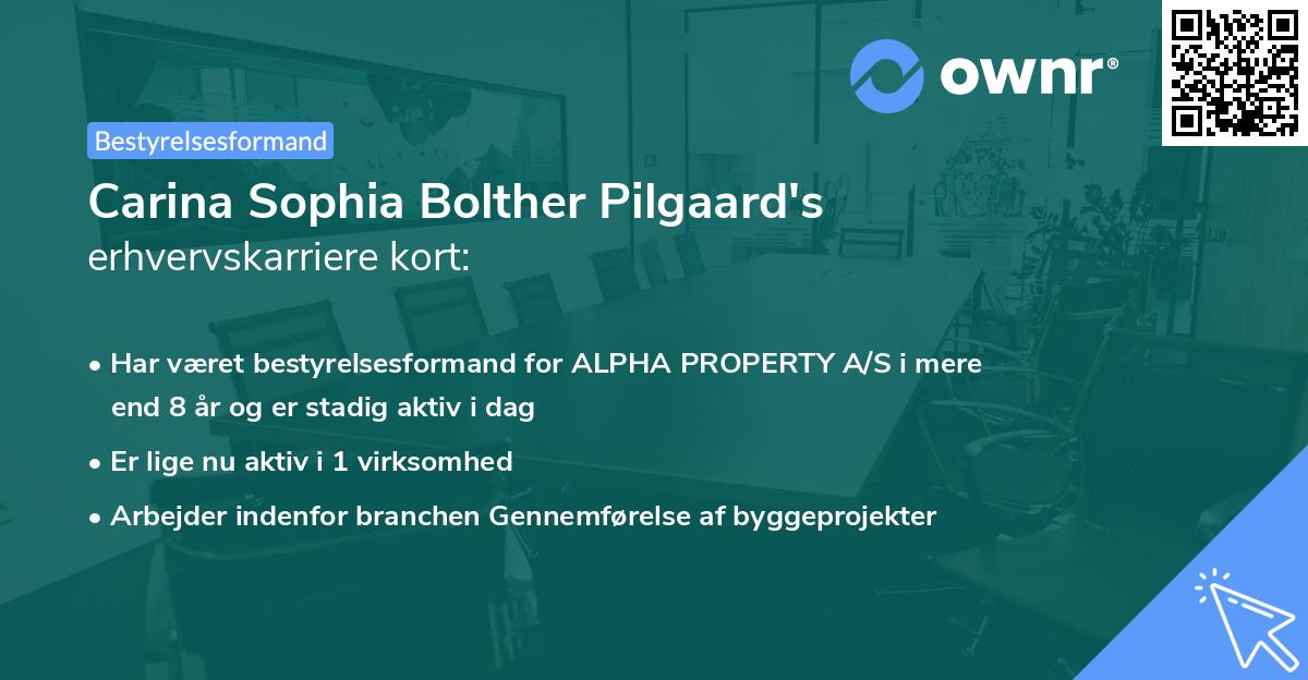 Carina Sophia Bolther Pilgaard's erhvervskarriere kort
