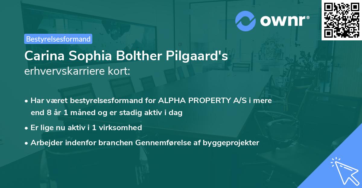 Carina Sophia Bolther Pilgaard's erhvervskarriere kort