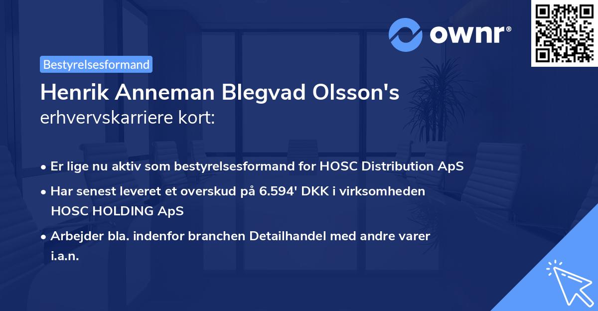 Henrik Anneman Blegvad Olsson's erhvervskarriere kort