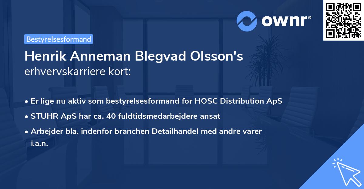 Henrik Anneman Blegvad Olsson's erhvervskarriere kort