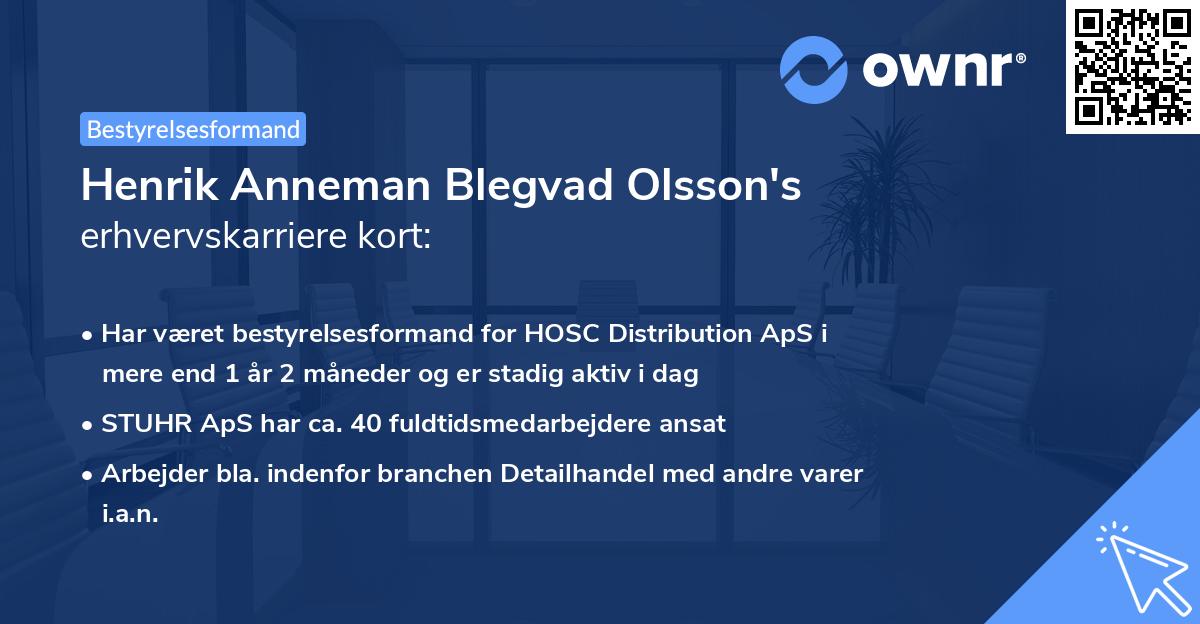 Henrik Anneman Blegvad Olsson's erhvervskarriere kort