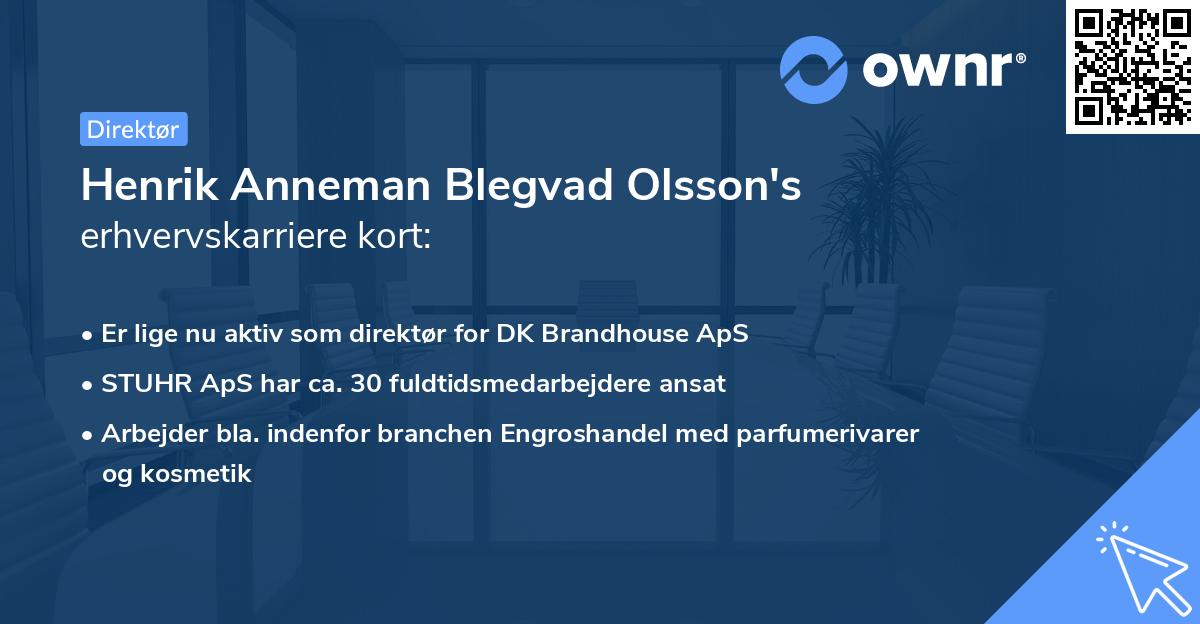 Henrik Anneman Blegvad Olsson's erhvervskarriere kort