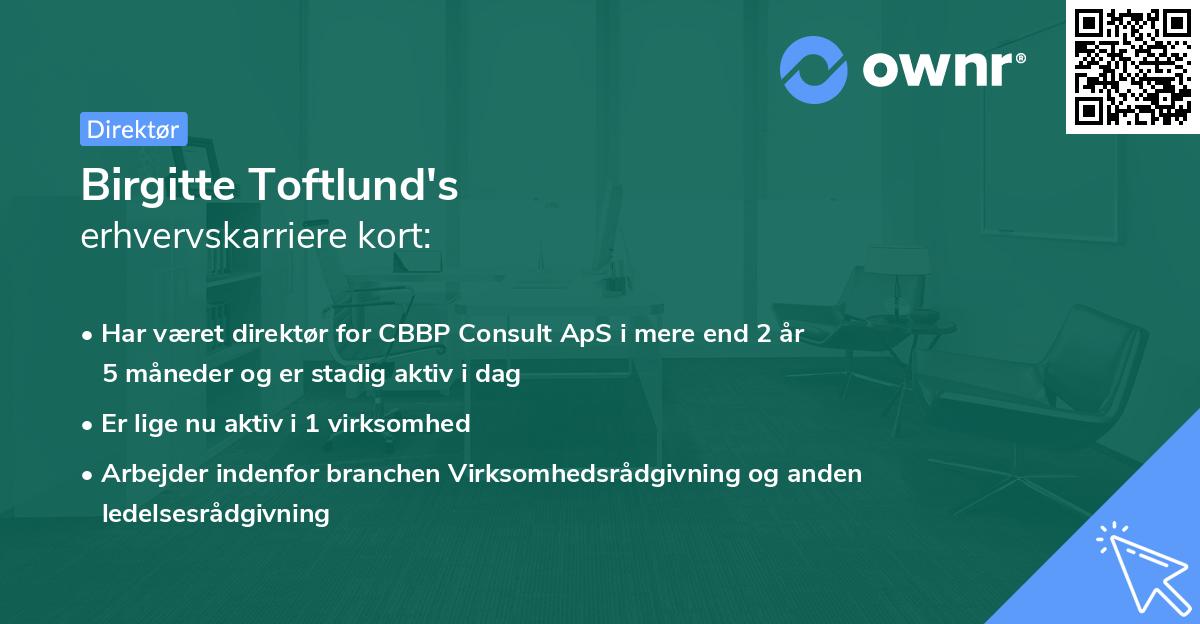 Birgitte Toftlund's erhvervskarriere kort