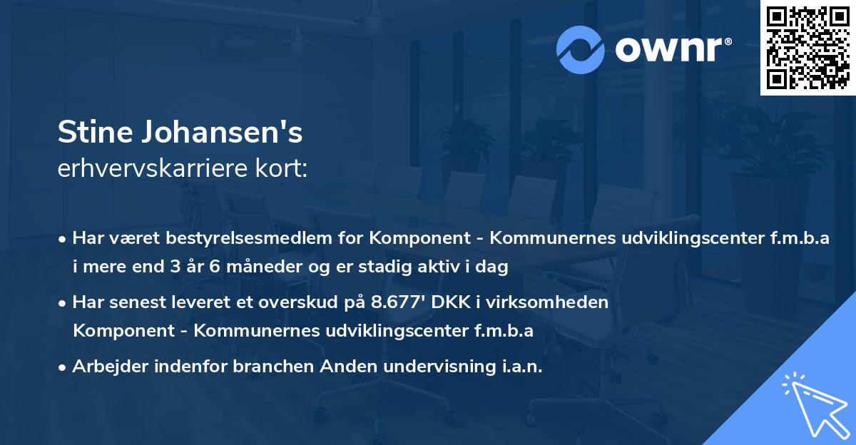 Stine Johansen's erhvervskarriere kort