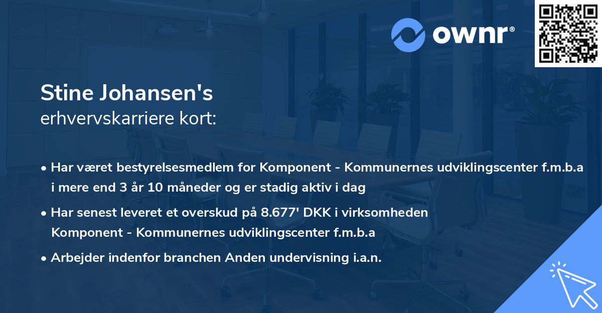 Stine Johansen's erhvervskarriere kort