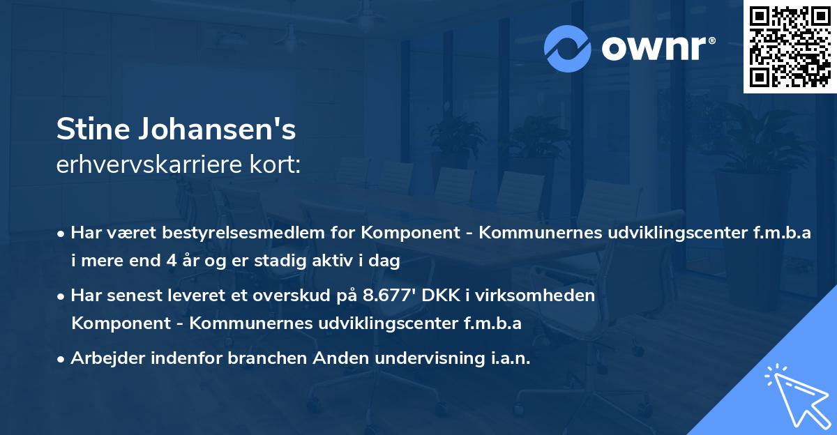 Stine Johansen's erhvervskarriere kort