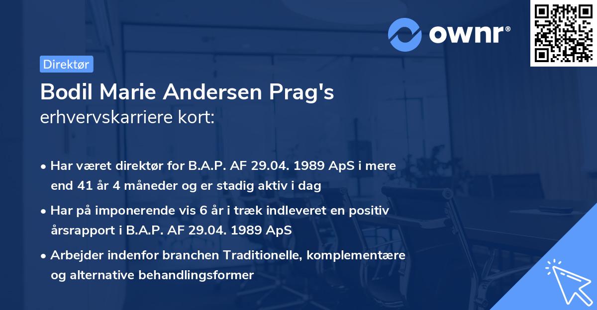 Bodil Marie Andersen Prag's erhvervskarriere kort