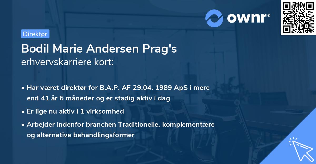 Bodil Marie Andersen Prag's erhvervskarriere kort