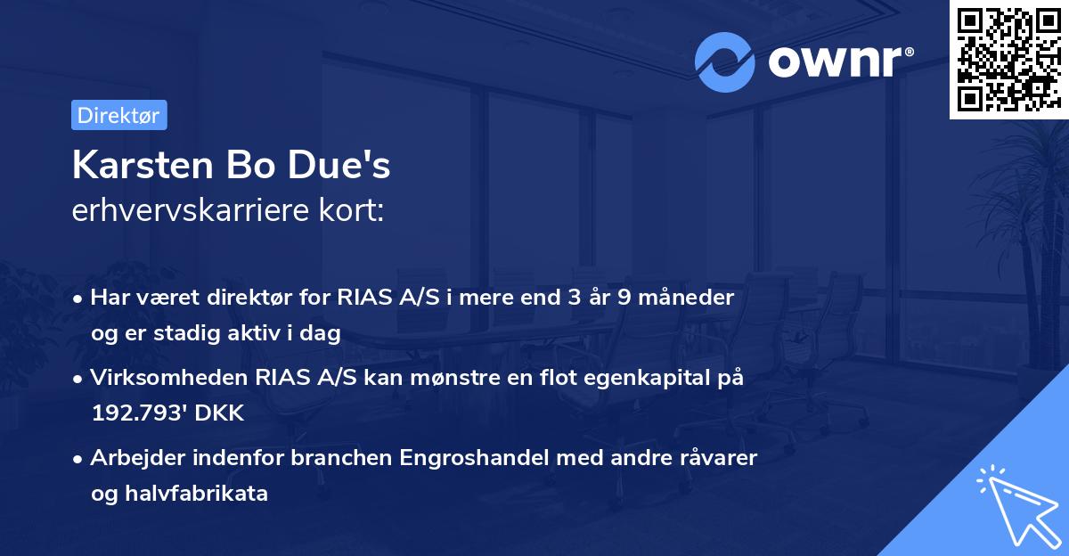 Karsten Bo Due's erhvervskarriere kort