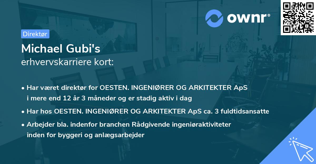 Michael Gubi's erhvervskarriere kort