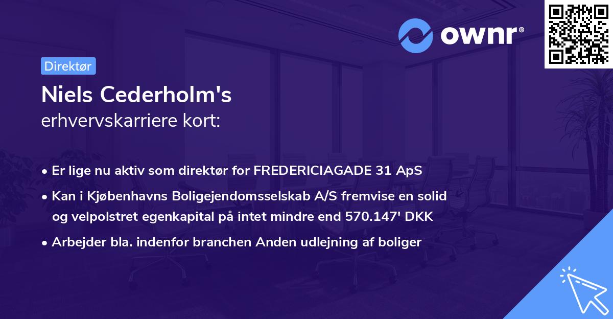 Niels Cederholm's erhvervskarriere kort