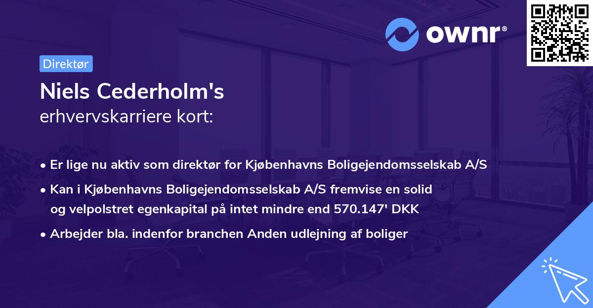 Niels Cederholm's erhvervskarriere kort