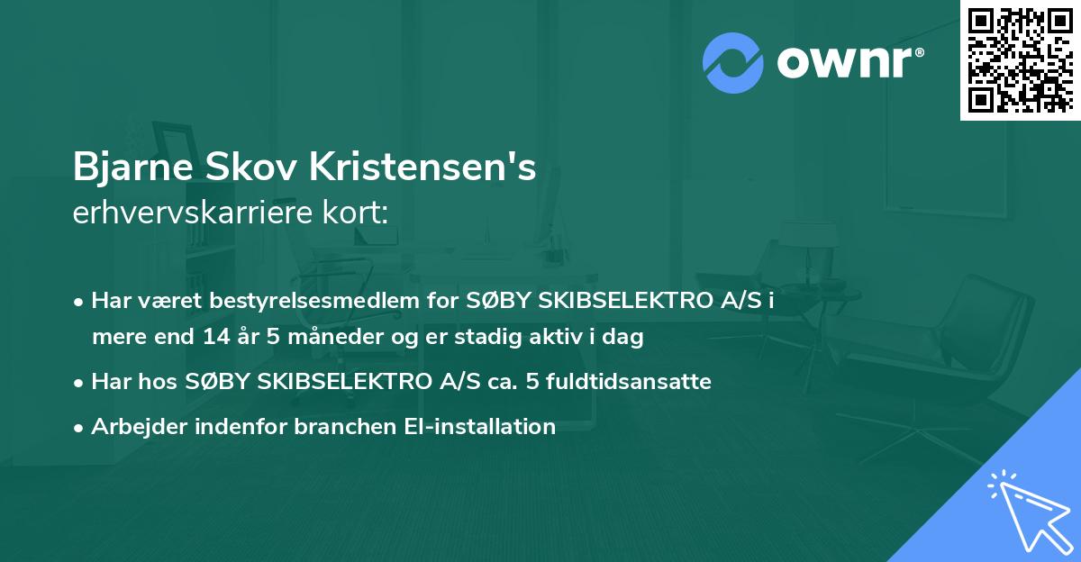 Bjarne Skov Kristensen's erhvervskarriere kort