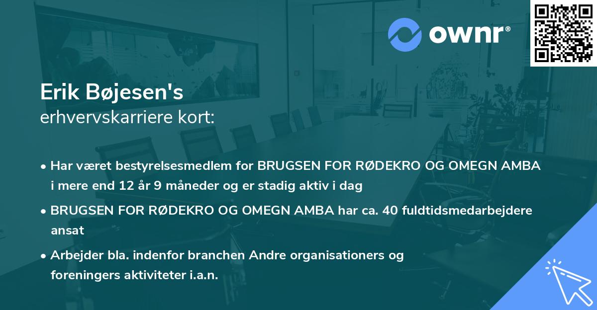 Erik Bøjesen's erhvervskarriere kort