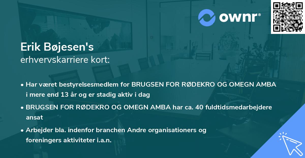 Erik Bøjesen's erhvervskarriere kort