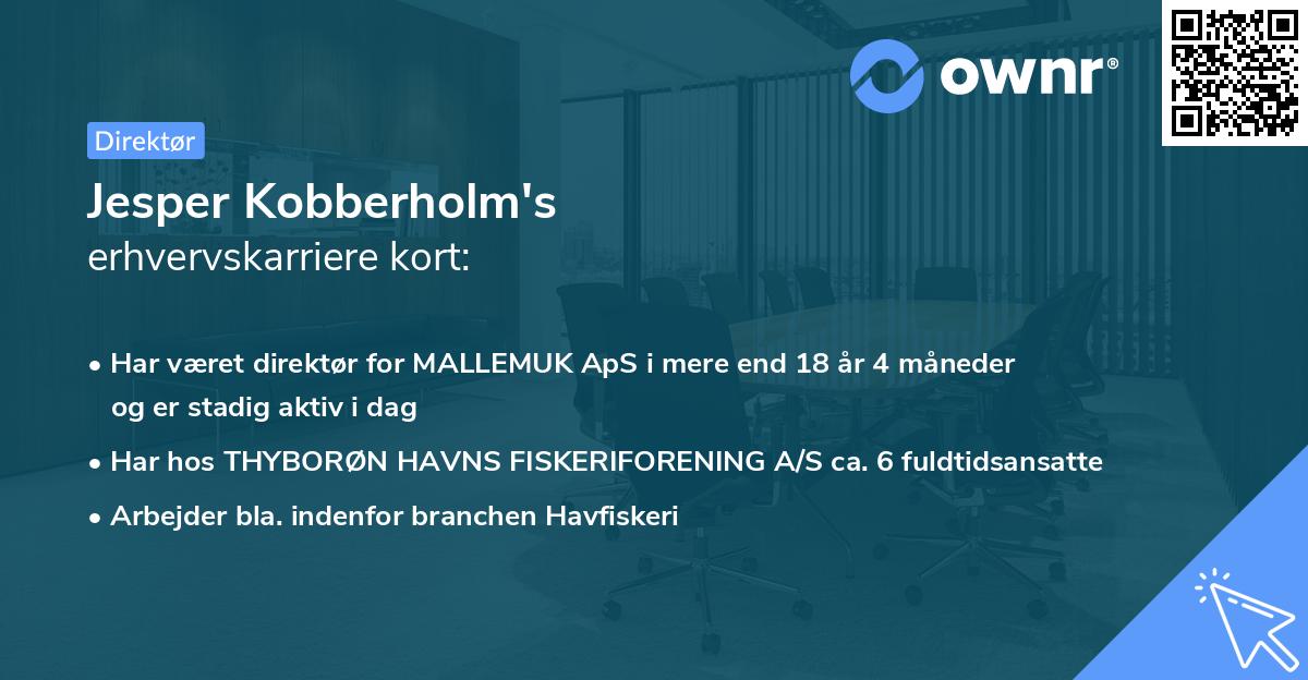 Jesper Kobberholm's erhvervskarriere kort