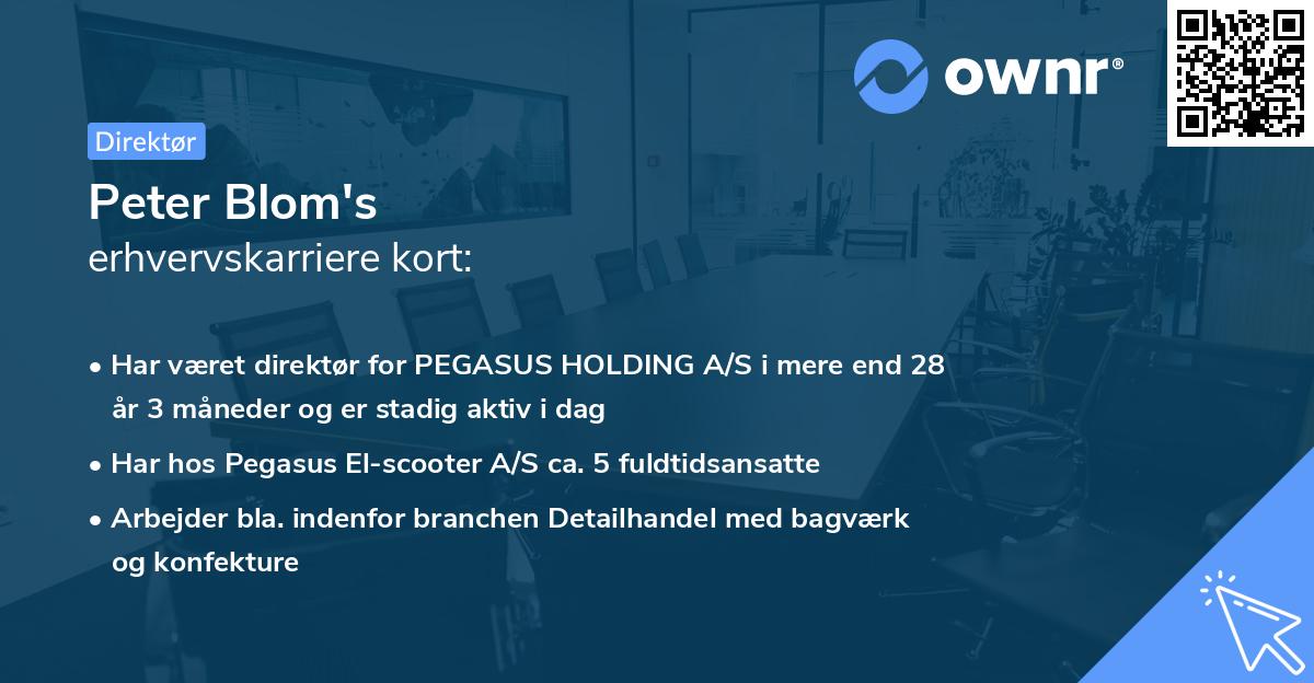Peter Blom's erhvervskarriere kort
